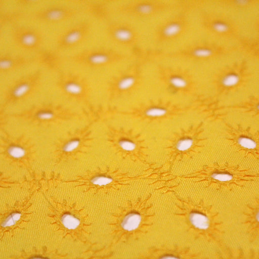 Tissu de coton broderie anglaise à fleurs