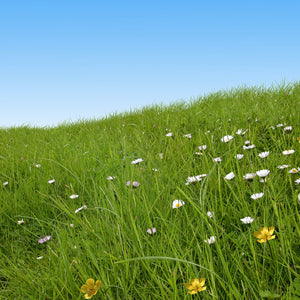 Vert l'infini, vert la prairie ! - TissusPapi.com