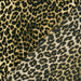 Tissu habillement satin velours, imprimé motif LEOPARD, plusieurs couleurs - TissusPapi.com
