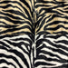 Tissu Velours imprimé motif ZEBRE : deux teintes disponibles ! - TissusPapi.com