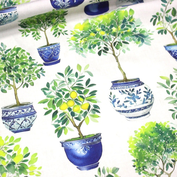 Tissu gabardine coton imprimée Citrons & citronniers, pots faïence bleue - ON DESTOCKE ! - TissusPapi.com