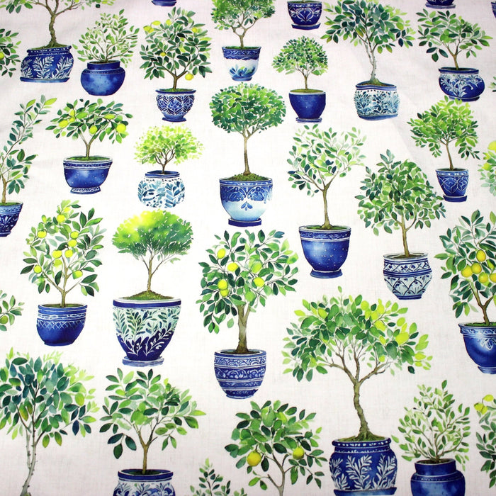 Tissu gabardine coton imprimée Citrons & citronniers, pots faïence bleue - ON DESTOCKE ! - TissusPapi.com