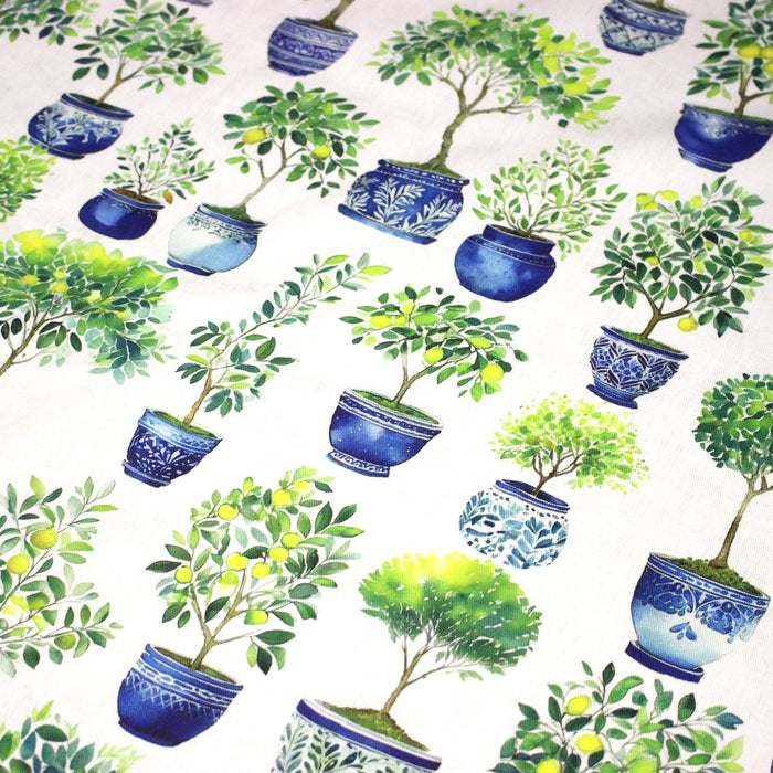 Tissu gabardine coton imprimée Citrons & citronniers, pots faïence bleue - ON DESTOCKE ! - TissusPapi.com