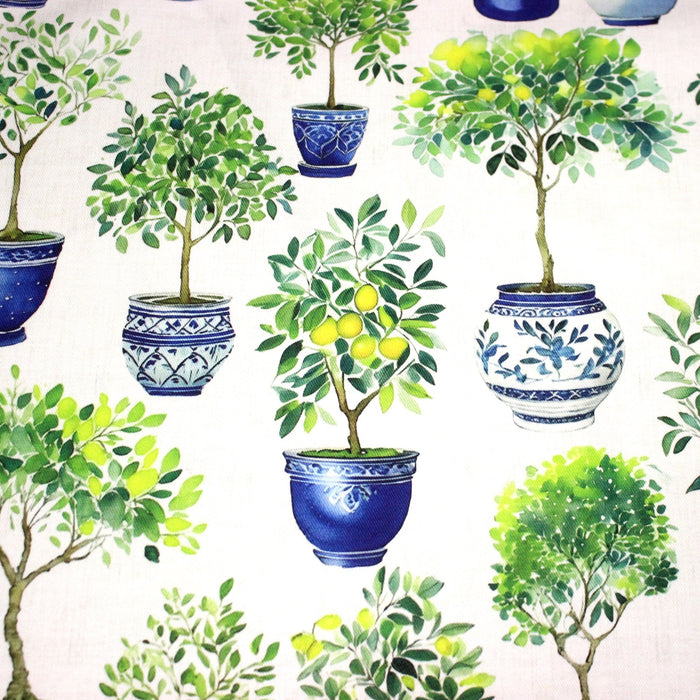 Tissu gabardine coton imprimée Citrons & citronniers, pots faïence bleue - ON DESTOCKE ! - TissusPapi.com
