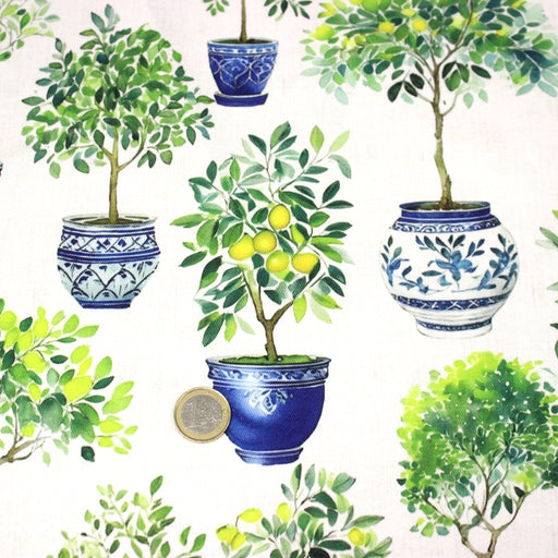 Tissu gabardine coton imprimée Citrons & citronniers, pots faïence bleue - ON DESTOCKE ! - TissusPapi.com