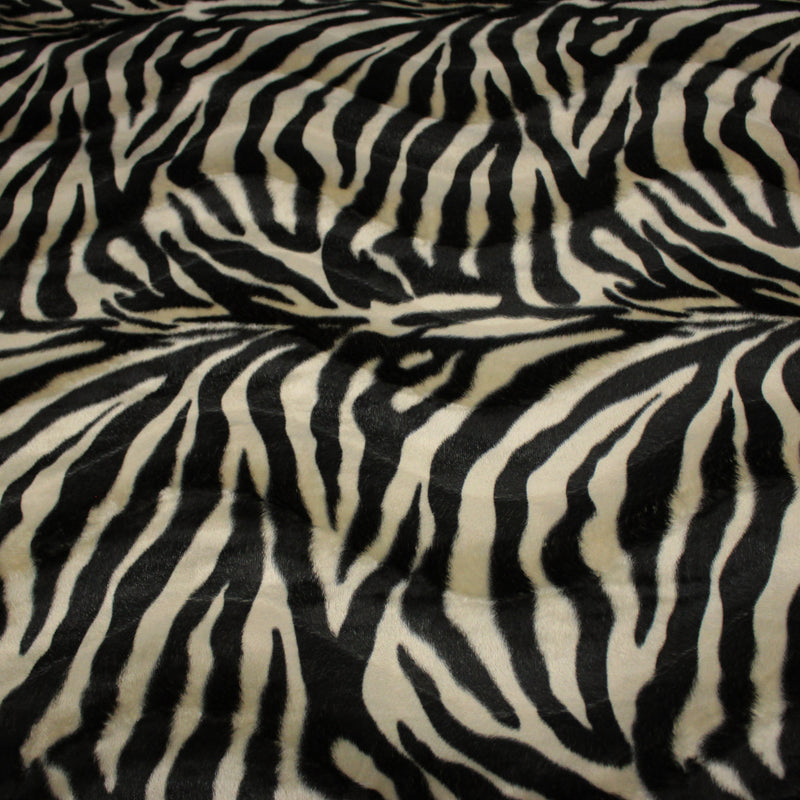 Tissu Velours imprimé motif ZEBRE : deux teintes disponibles ! - TissusPapi.com