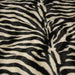 Tissu Velours imprimé motif ZEBRE : deux teintes disponibles ! - TissusPapi.com