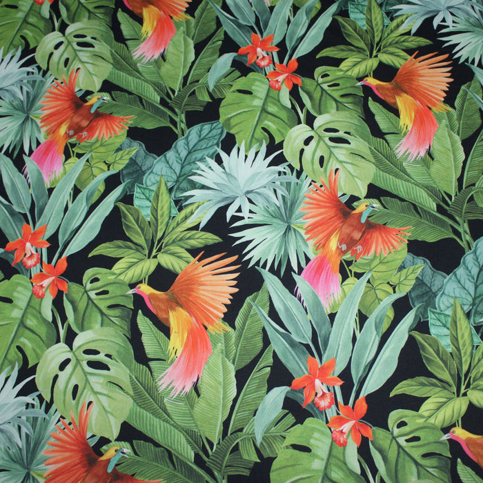 Tissu gabardine de coton LUXE imprimée motif de forêt tropical luxuriante aux perroquets et oiseaux, fond noir