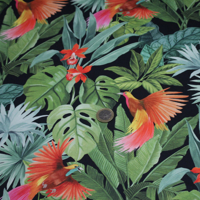 Tissu gabardine de coton LUXE imprimée motif de forêt tropical luxuriante aux perroquets et oiseaux, fond noir