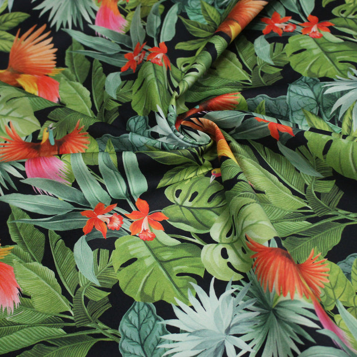 Tissu gabardine de coton LUXE imprimée motif de forêt tropical luxuriante aux perroquets et oiseaux, fond noir