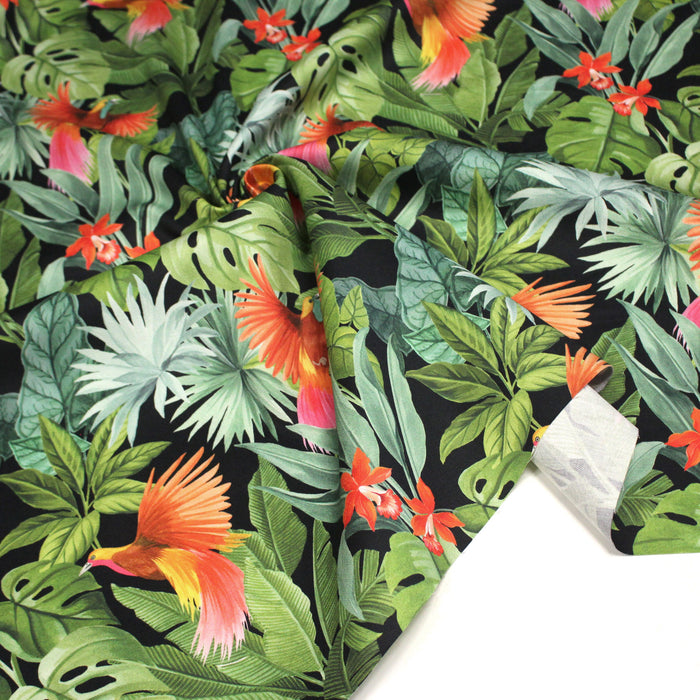 Tissu gabardine de coton LUXE imprimée motif de forêt tropical luxuriante aux perroquets et oiseaux, fond noir