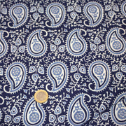 Tissu coton fin imprimé INDIENNES, motif Paisley cachemire bleu, ciel et blanc - TissusPapi.com