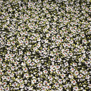 Tissu Viscose crêpe noir fleuri jaune blanc violet orange - TissusPapi.com