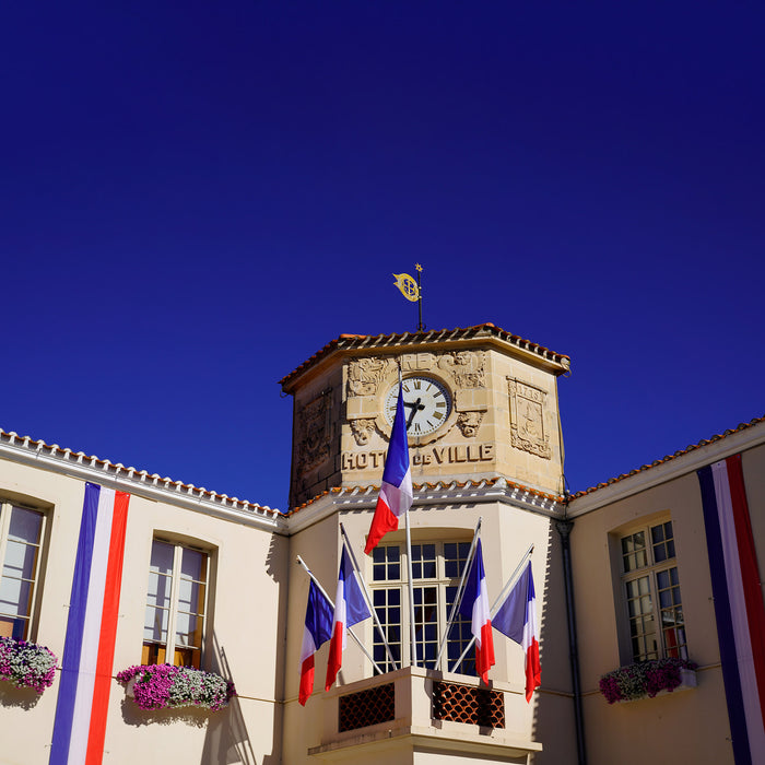 Tissu Drapeau français au mètre - Drapeau France, 80cm de large