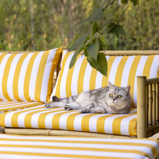 Tissu extérieur larges rayures, 160cm de large : nombreuses couleurs - OEKO - TEX - TissusPapi.com