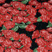 Tissu popeline de coton aux fleurs de roses rouges fond noir - tissuspapi